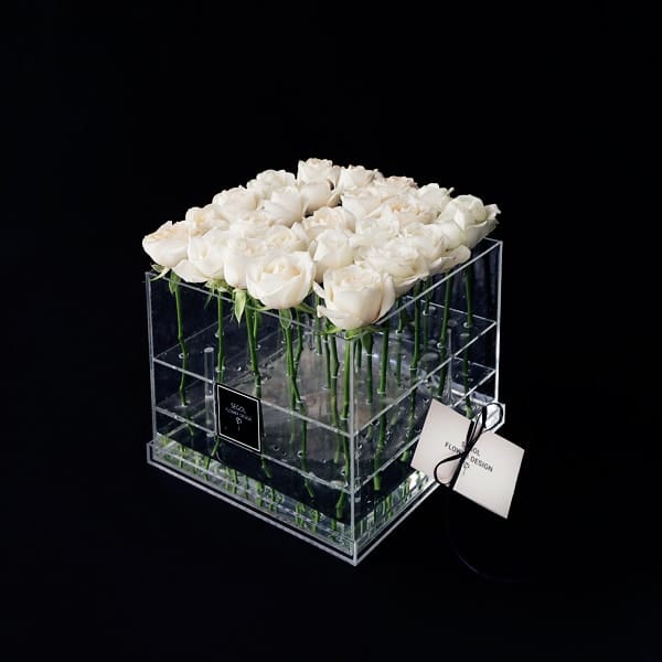 ורדים לבנים באריזה שקופה-XL