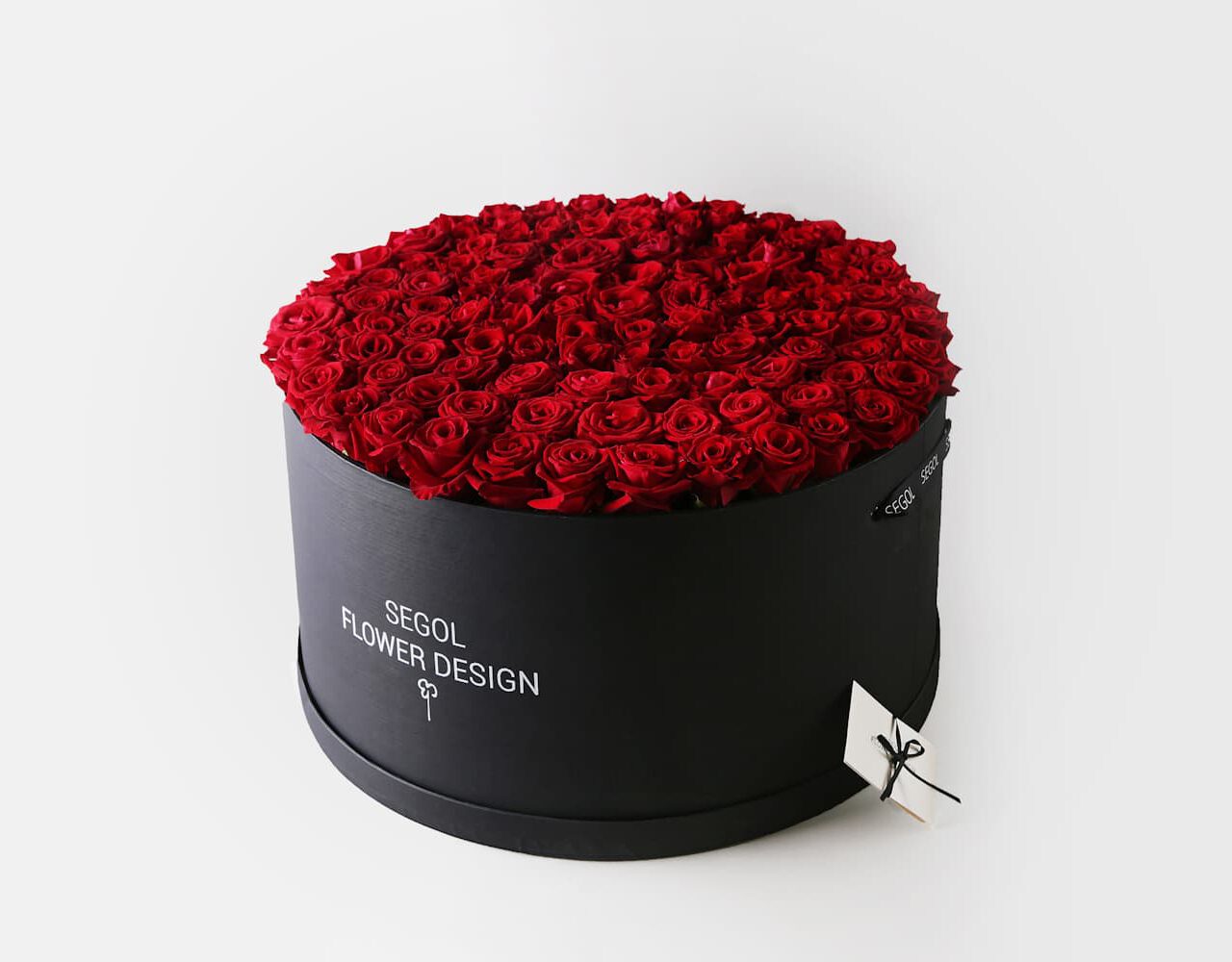 Jumbo Red Rose - שחור