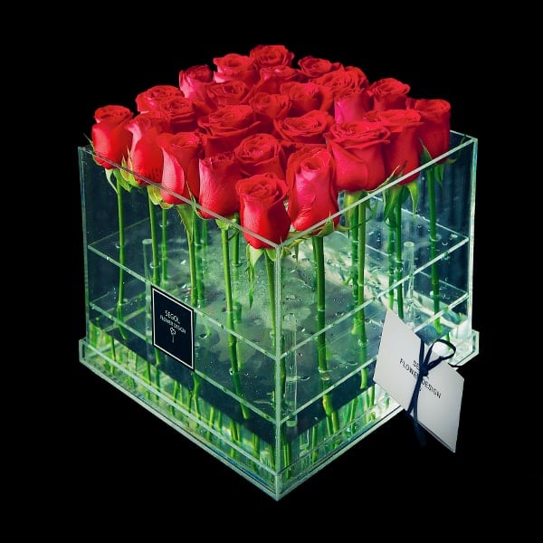 ורדים אדומים באריזה שקופה-XL